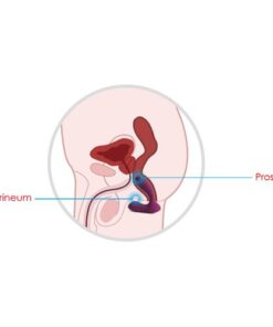 cum se foloseste masatorul pentru prostata vick