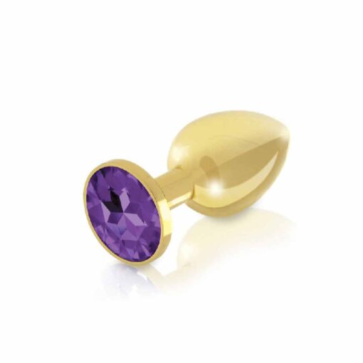 Set Butt Plug Riannes S Luxury