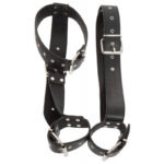 Catuse maini si gat Bad Kitty Restraints