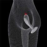 Flawless-Clear-stimulator-prostata-clear Flawless-Clear-stimulator-prostata-clear