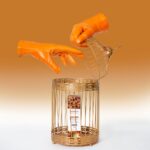 Ulei Eye Macadamia Masaj Tiger 100 ml Ulei Masaj Tiger Eye Macadamia 100 ml