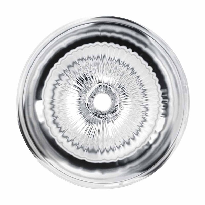 Masturbator Anal Clear Shot Pussy Ass