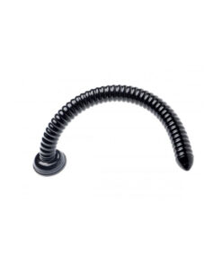 Bile Anale Snake