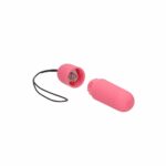Vibrator Bullet cu Telecomanda baterii Vibrator Bullet cu Telecomanda