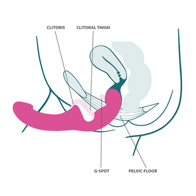 Vibrator Dublu Share Vibe Pro Vibrator Dublu Share Vibe Pro Burgundy