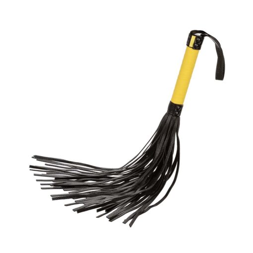 Bici CalExotics Boundless Flogger