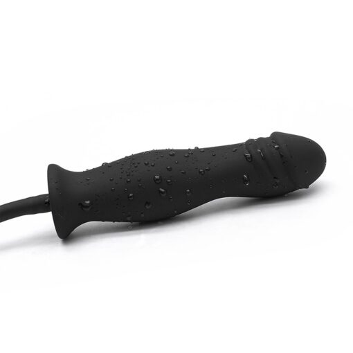 Butt Plug Wild Play